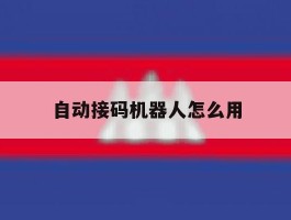 自动接码机器人怎么用