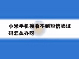 小米手机接收不到短信验证码怎么办呀