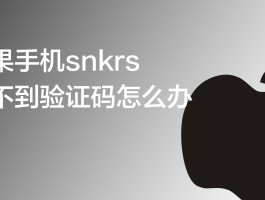 网站登录手机验证码怎么输入不了呢苹果的简单介绍