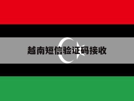 越南短信验证码接收