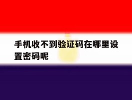手机收不到验证码在哪里设置密码呢