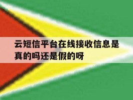 云短信平台在线接收信息是真的吗还是假的呀的简单介绍