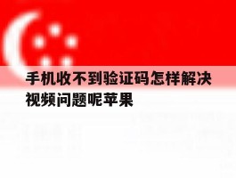 手机收不到验证码怎样解决视频问题呢苹果