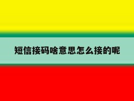 短信接码啥意思怎么接的呢
