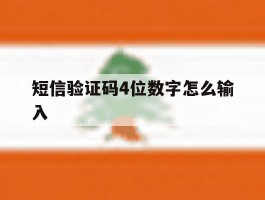 短信验证码4位数字怎么输入