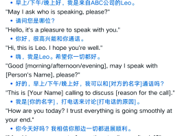 美国接码平台叫什么名字啊英文翻译