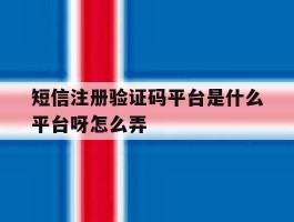 短信注册验证码平台是什么平台呀怎么弄
