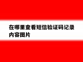 在哪里查看短信验证码记录内容图片