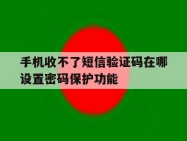 手机收不了短信验证码在哪设置密码保护功能