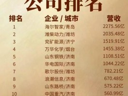 国内最大的接码平台公司排名榜