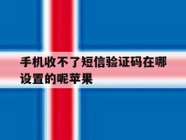 手机收不了短信验证码在哪设置的呢苹果