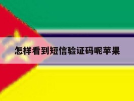 怎样看到短信验证码呢苹果