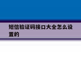 短信验证码接口大全怎么设置的