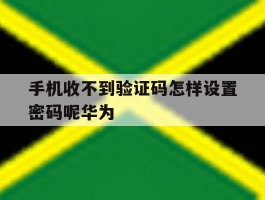 手机收不到验证码怎样设置密码呢华为