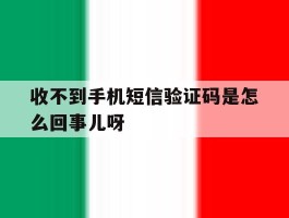 包含收不到手机短信验证码是怎么回事儿呀的词条