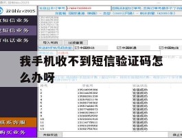 我手机收不到短信验证码怎么办呀