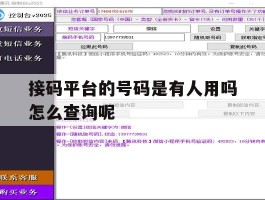 接码平台的号码是有人用吗怎么查询呢的简单介绍