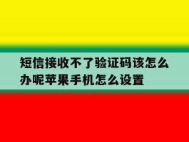 短信接收不了验证码该怎么办呢苹果手机怎么设置的简单介绍