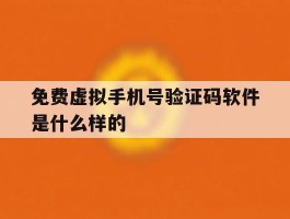 免费虚拟手机号验证码软件是什么样的