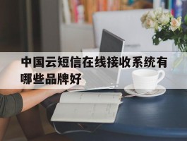中国云短信在线接收系统有哪些品牌好