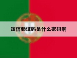 短信验证码是什么密码啊
