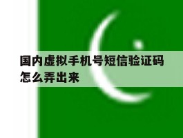 国内虚拟手机号短信验证码怎么弄出来