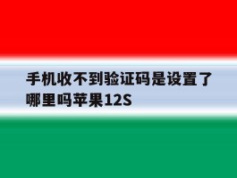 手机收不到验证码是设置了哪里吗苹果12S的简单介绍