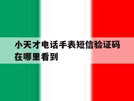 小天才电话手表短信验证码在哪里看到