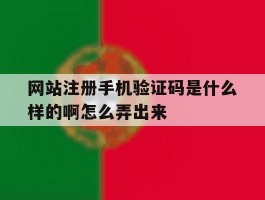 网站注册手机验证码是什么样的啊怎么弄出来
