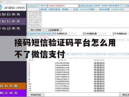 接码短信验证码平台怎么用不了微信支付