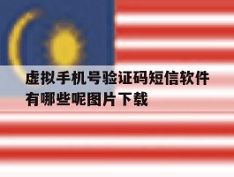 虚拟手机号验证码短信软件有哪些呢图片下载的简单介绍