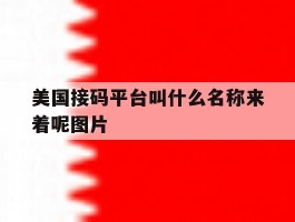 美国接码平台叫什么名称来着呢图片