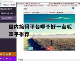 国内接码平台哪个好一点呢知乎推荐