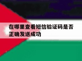 在哪里查看短信验证码是否正确发送成功