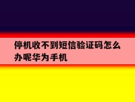 包含停机收不到短信验证码怎么办呢华为手机的词条