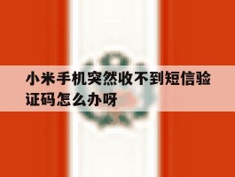 小米手机突然收不到短信验证码怎么办呀的简单介绍