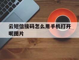 云短信接码怎么用手机打开呢图片
