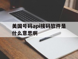 美国号码api接码软件是什么意思啊