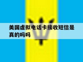 美国虚拟电话卡接收短信是真的吗吗