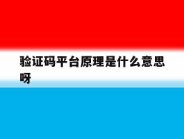 关于验证码平台原理是什么意思呀的信息