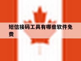短信接码工具有哪些软件免费