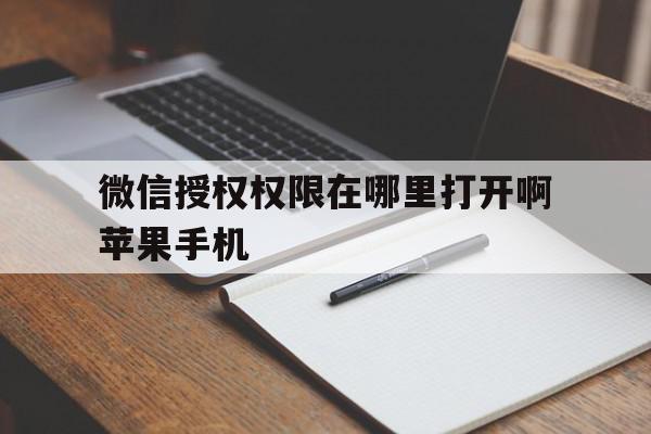 微信授权权限在哪里打开啊苹果手机 微信授权权限在哪里打开啊苹果手机