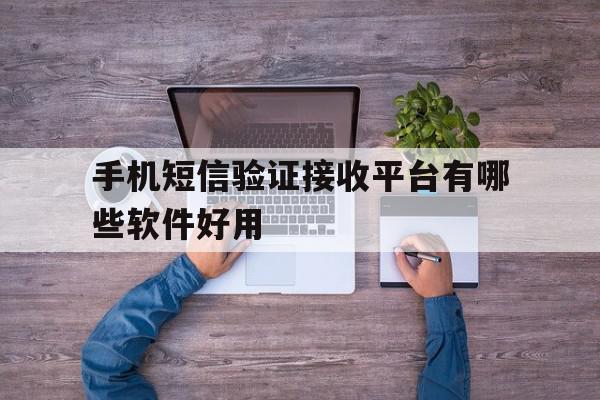 手机短信验证接收平台有哪些软件好用 手机短信验证接收平台有哪些软件好用