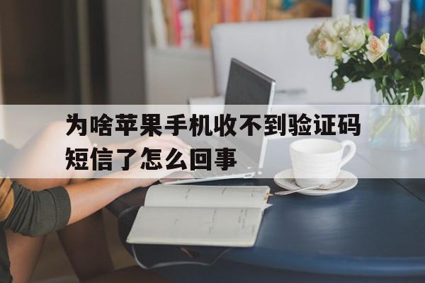 为啥苹果手机收不到验证码短信了怎么回事 为啥苹果手机收不到验证码短信了怎么回事