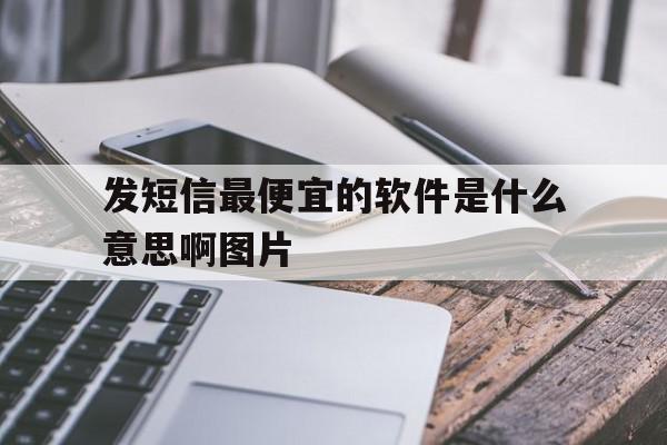 发短信最便宜的软件是什么意思啊图片 发短信最便宜的软件是什么意思啊图片