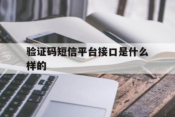 验证码短信平台接口是什么样的 验证码短信平台接口是什么样的