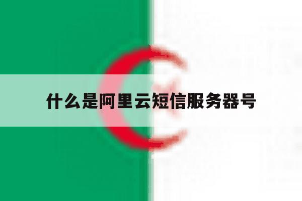 什么是阿里云短信服务器号 什么是阿里云短信服务器号