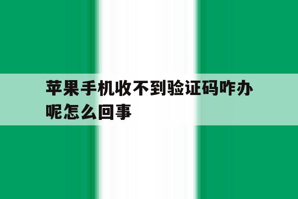 苹果手机收不到验证码咋办呢怎么回事 苹果手机收不到验证码咋办呢怎么回事