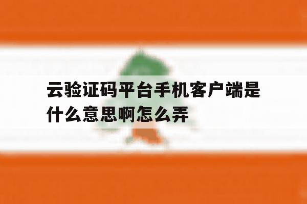 关于云验证码平台手机客户端是什么意思啊怎么弄的信息 关于云验证码平台手机客户端是什么意思啊怎么弄的信息
