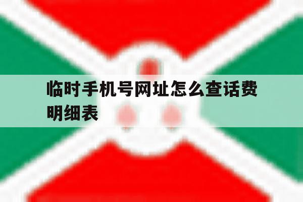 临时手机号网址怎么查话费明细表 临时手机号网址怎么查话费明细表